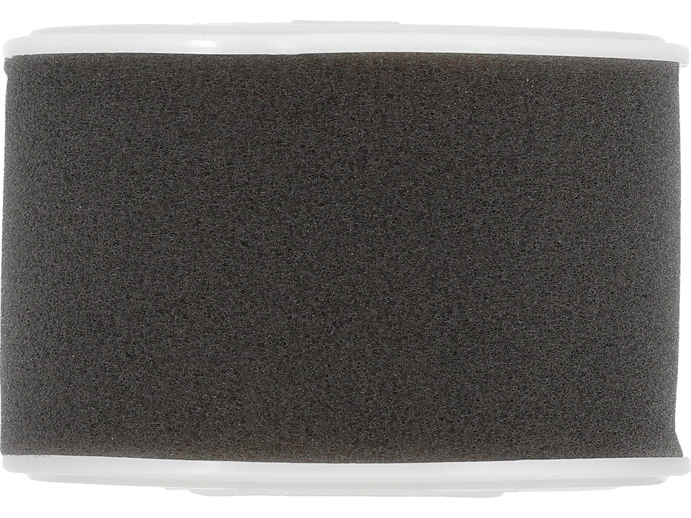 AIR FILTER (YT-855494)
