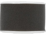 AIR FILTER (YT-855494)