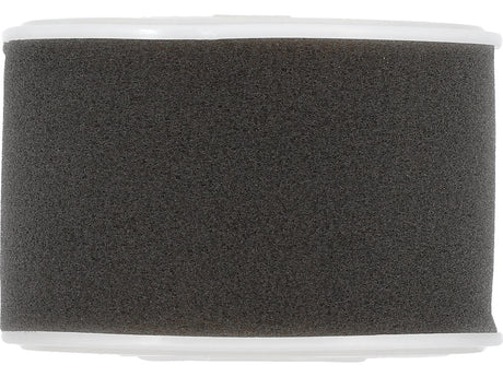 AIR FILTER (YT-855494)
