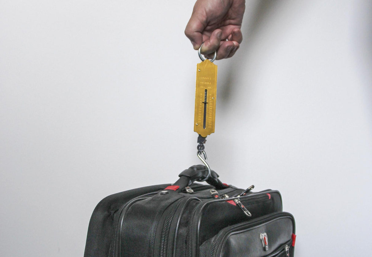 POCKET SPRING BALANCE | MAX. 25 KG (8033)