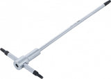 SCREWDRIVER WITH SLIDING T-HANDLE | T-STAR (FOR TORX) | T15 (6092)