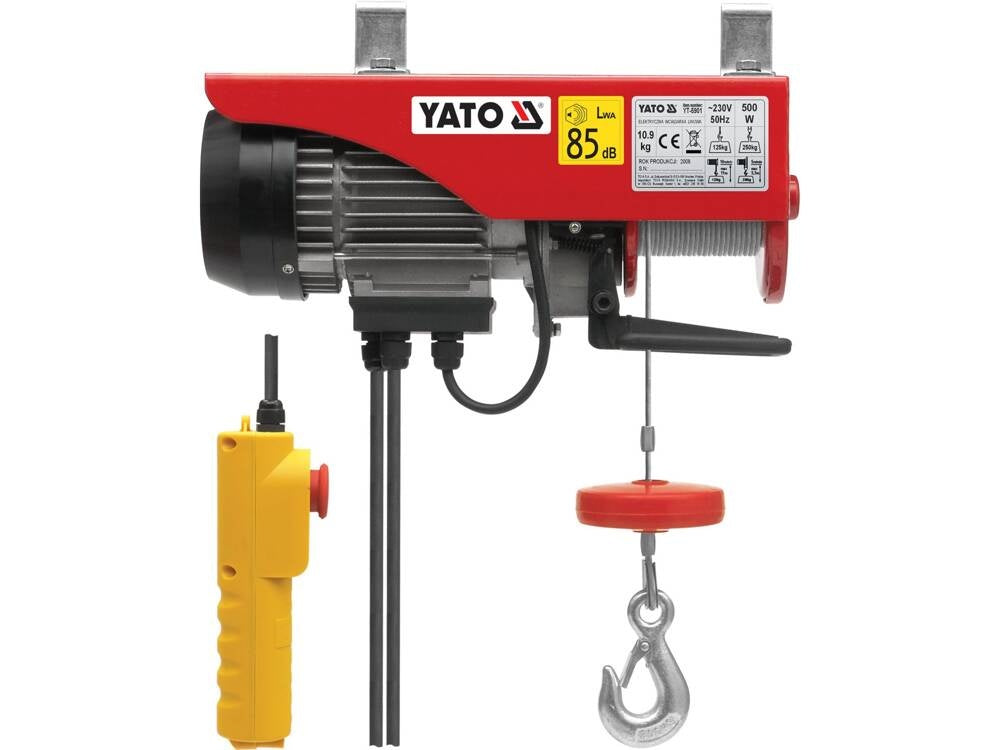 ELECTRIC HOIST 500W 125/250KG (YT-5901)
