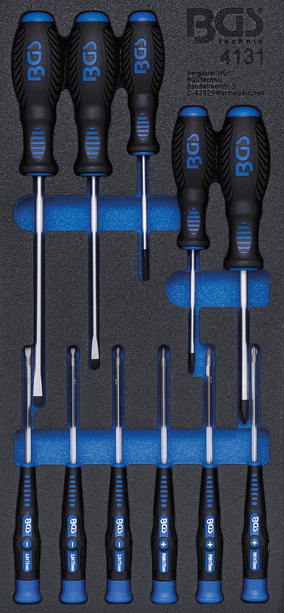 TOOL TRAY 1/3: SCREWDRIVER SET | 11 PCS. (4131)