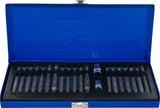COMBINED BIT SET | 40 PCS. (7071)