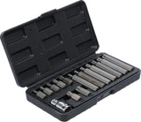 BIT SET | 10 MM (3/8") DRIVE | T-STAR (FOR TORX) | 15 PCS. (5040)