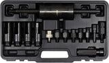 INJECTOR EXTRACTOR 14PCS (YT-06174)