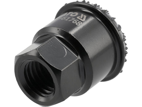 ROTARY RASP 30MM, M14 (YT-61768)