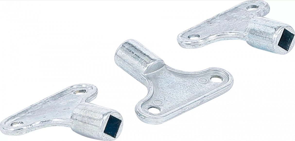 RADIATOR BLEEDING KEY SET | 3 PCS. (50505)