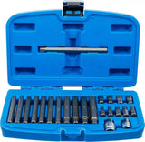 BIT SET | 10 MM (3/8") HEX DRIVE | SPLINE (FOR RIBE) | 22 PCS. (5013)
