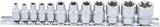 SOCKET SET, E-TYPE | 6.3 MM (1/4") / 10 MM (3/8") DRIVE | E4 - E20 | 12 PCS. (2038)