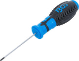 SCREWDRIVER | INTERNAL HEXAGON 2 MM | BLADE LENGTH 75 MM (8629-2)