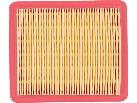 AIR FILTER (YT-855491)