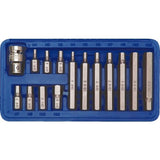 SCREWDRIVER BIT SET HEX H4-H12 15PCS (66720)