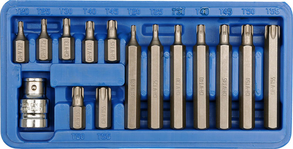 SCREWDRIVER BIT SET TORX T20-T55 15PCS (66580)