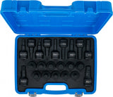 IMPACT BIT SOCKET SET | 20 MM (3/4") DRIVE | INTERNAL HEXAGON, T-STAR (FOR TORX) | 22 PCS. (6185)