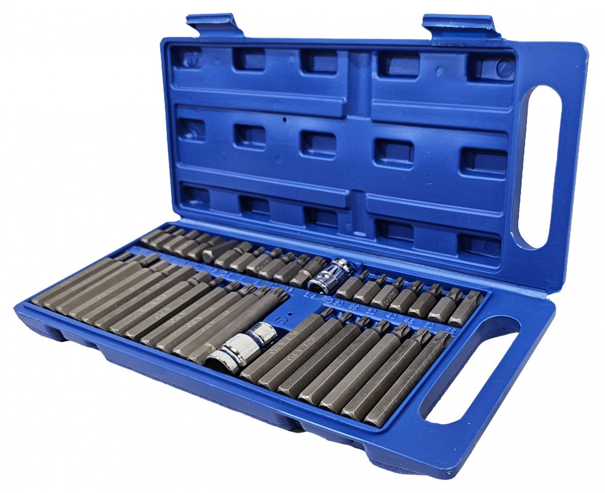 BIT SET | PLASTIC BOX | 40 PCS. (66410P)