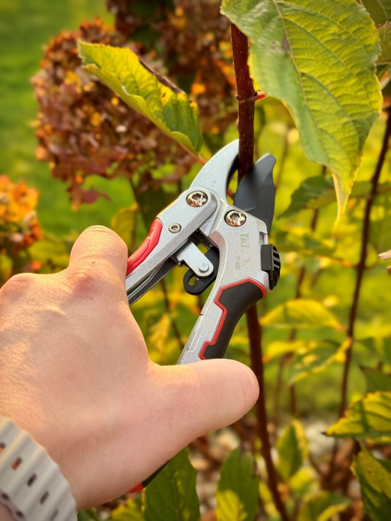 RATCHET SECATEURS FOR DRY BRANCHES WITH LOCK | 190 MM (YT-88122)