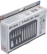 BIT SET | 10 MM (3/8") DRIVE | T-STAR (FOR TORX) | 15 PCS. (5040)