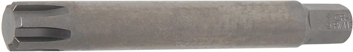 BIT | LENGTH 100 MM | 10 MM (3/8") DRIVE | SPLINE (FOR RIBE) M13 (4779)