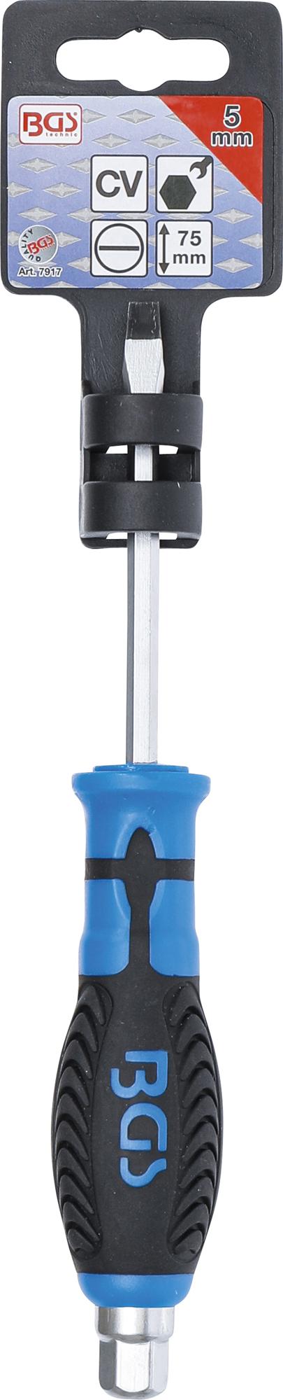 SCREWDRIVER | WITH EXTERNAL HEXAGON | SLOT SL 5 MM | BLADE LENGTH 75 MM (7917)