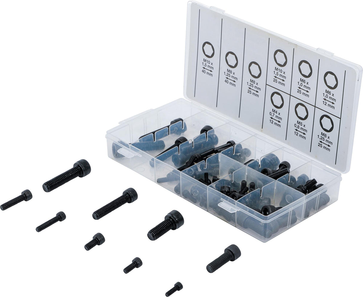 CYLINDER HEAD SCREW ASSORTMENT | INTERNAL HEXAGON | 106 PCS. (14140)