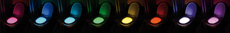 LED TOILET LIGHT (75455)