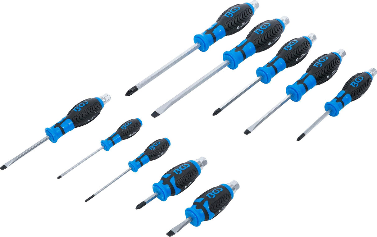 SCREWDRIVER SET | 10 PCS. (7897)