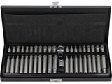 SCREWDRIVER BIT SET TORX SE.& RIBE 42PCS (YT-0420)
