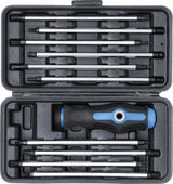 SCREWDRIVER SET WITH INTERCHANGEABLE BLADES | 11 PCS. (7988)