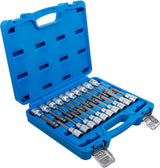 BIT SOCKET SET | 12.5 MM (1/2") DRIVE | INTERNAL HEXAGON, T-STAR (FOR TORX), SPLINE (FOR XZN) WITH BALL HEAD | 20 PCS. (5170)
