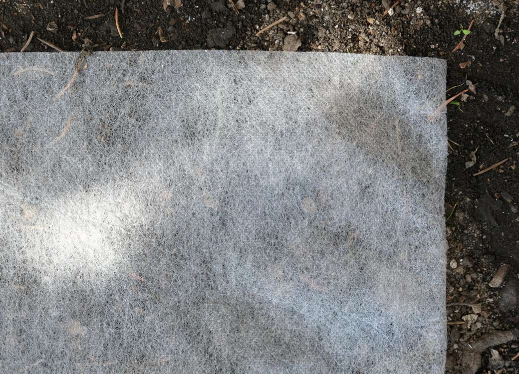PLANT PROTECTION FLEECE 19 G - 1,6X50M (91000)
