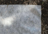 PLANT PROTECTION FLEECE 19 G - 1,6X50M (91000)