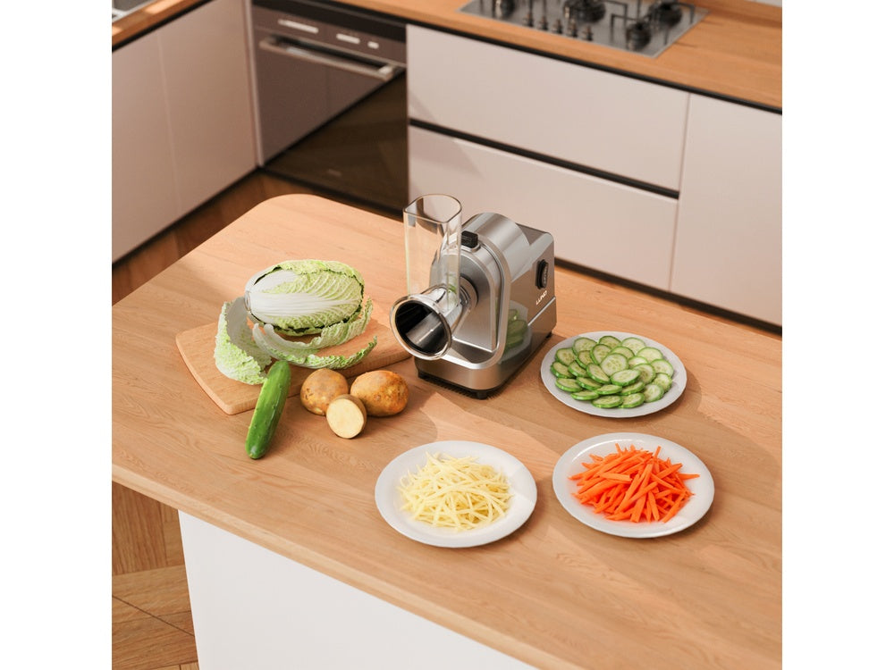 VEGETABLE CUTTER 250W, 5 BLADES (67830)