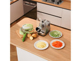 VEGETABLE CUTTER 250W, 5 BLADES (67830)