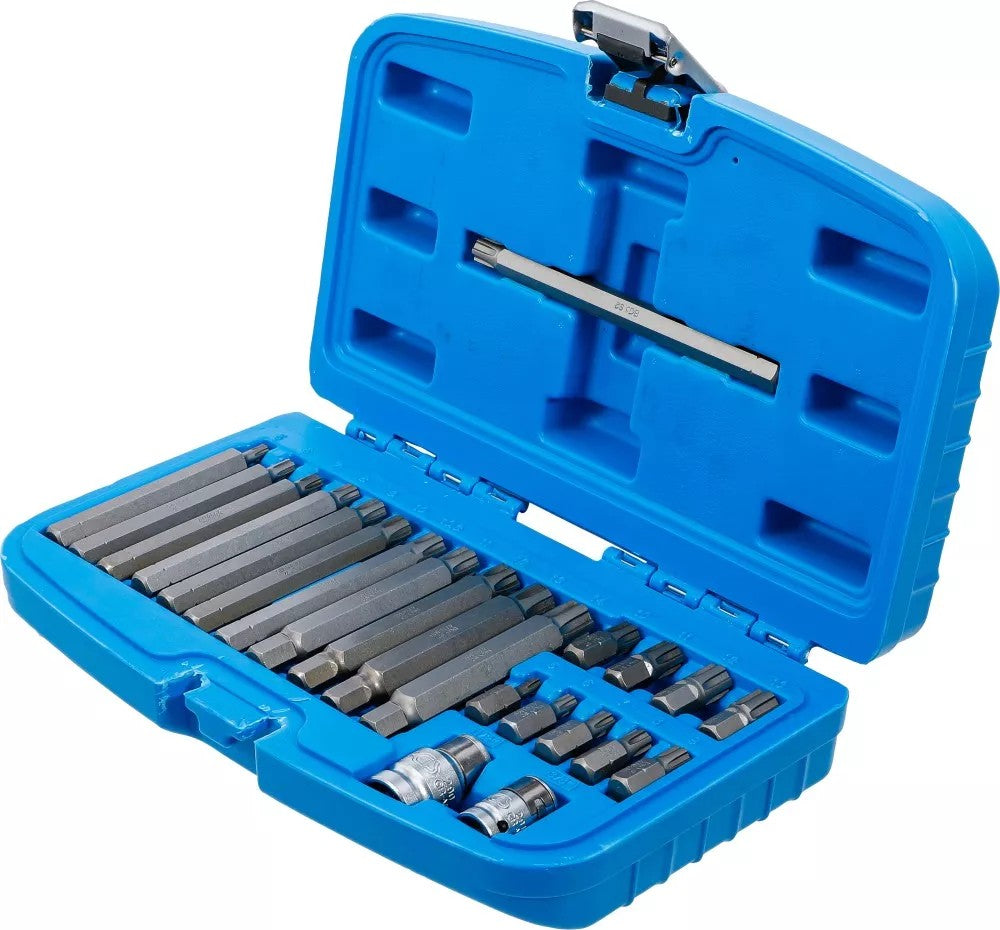 BIT SET | 10 MM (3/8") HEX DRIVE | SPLINE (FOR RIBE) | 22 PCS. (5013)