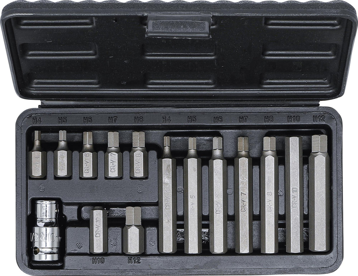 BIT SET | 10 MM (3/8") DRIVE | INTERNAL HEXAGON | 15 PCS. (5070)