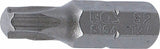 BIT | LENGTH 25 MM | 6.3 MM (1/4") DRIVE | T-STAR (FOR TORX) T27 (8194)