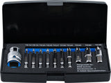SCREW EXTRACTOR SET | FOR DAMAGED T-STAR (FOR TORX) T10 - T55 | 11 PCS. (9170)