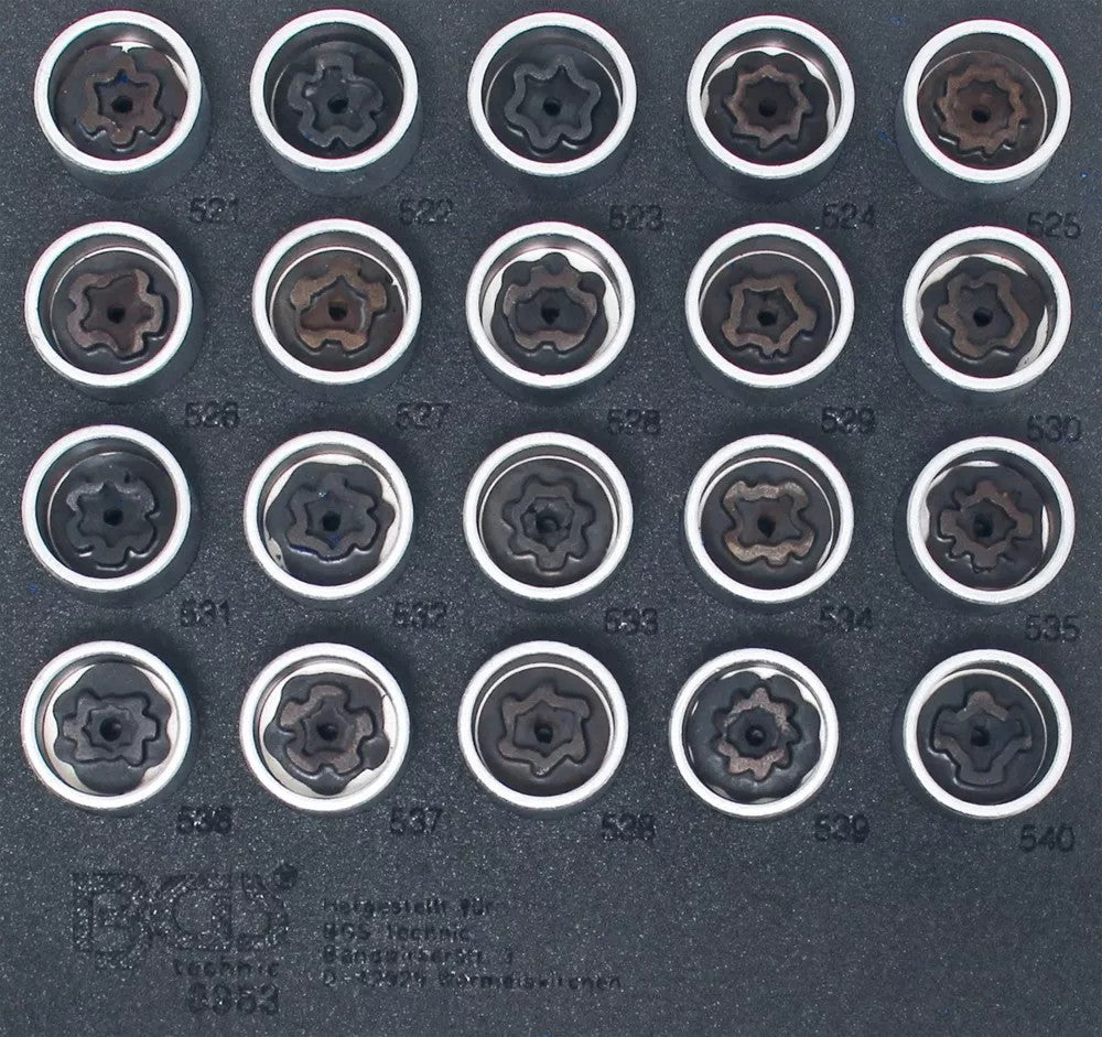 TOOL TRAY 1/6: RIM LOCK SOCKET SET FOR VAG | 20 PCS. (8963)