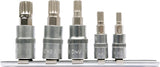 SOCKET BIT SET SPLINE 5PCS (YT-04360)