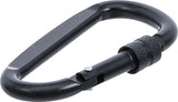 SNAP HOOK | D-SHAPE | WITH SCREW LOCK (85795)