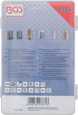 BRAKE PIPE FITTINGS, CONNECTING NUTS AND SCREWS ASSORTMENT | 135 PCS. (70341)