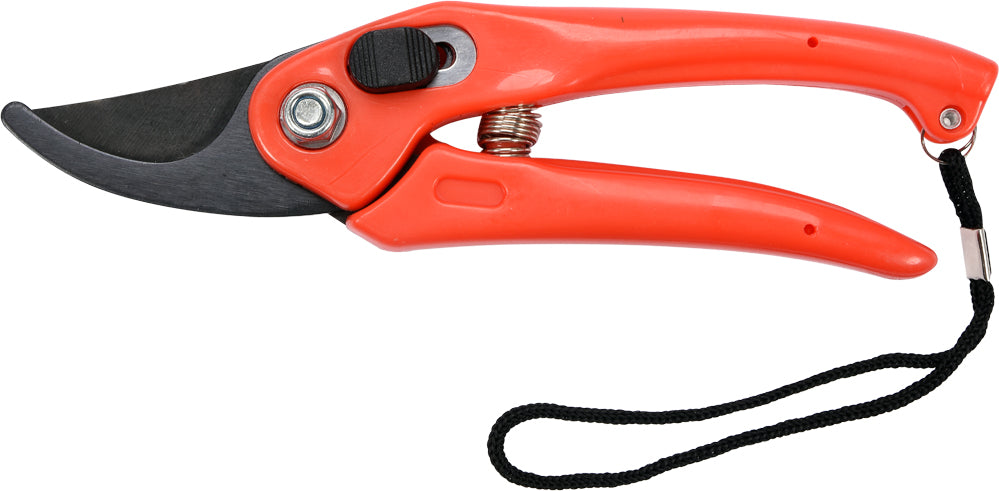PRUNER (99193)