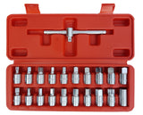 BITS FOR UNSCREWING OIL DRAIN PLUGS | 10 MM (3/8") | 21 PCS. (SK1460B)