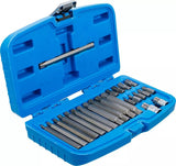 BIT SET | 10 MM (3/8") HEX DRIVE | SPLINE (FOR RIBE) | 22 PCS. (5013)