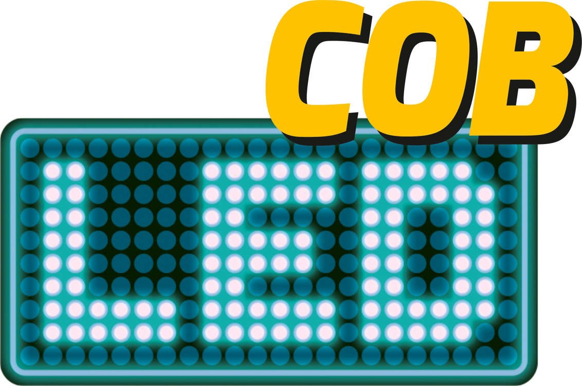 MULTIFUNCTIONAL WORKLIGHT 3W COB 100LM (YT-08516)