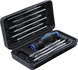 SCREWDRIVER SET WITH INTERCHANGEABLE BLADES | 11 PCS. (7988)