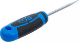 PIERCING AWL | 175 MM (67203)