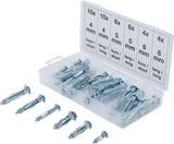MOLLY BOLT ASSORTMENT | 40 PCS. (8139)