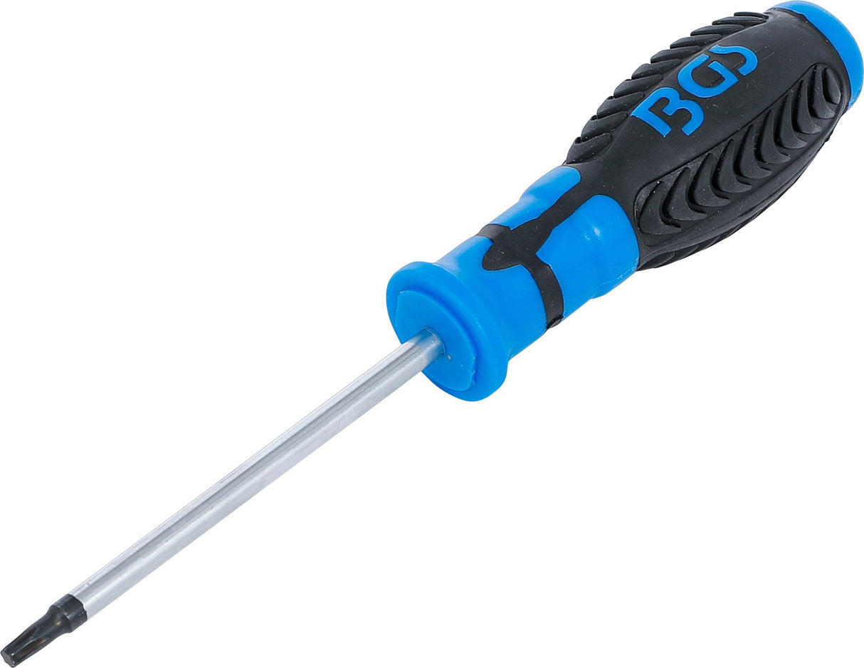 SCREWDRIVER | T-STAR (FOR TORX) T25 | BLADE LENGTH 100 MM (4920)